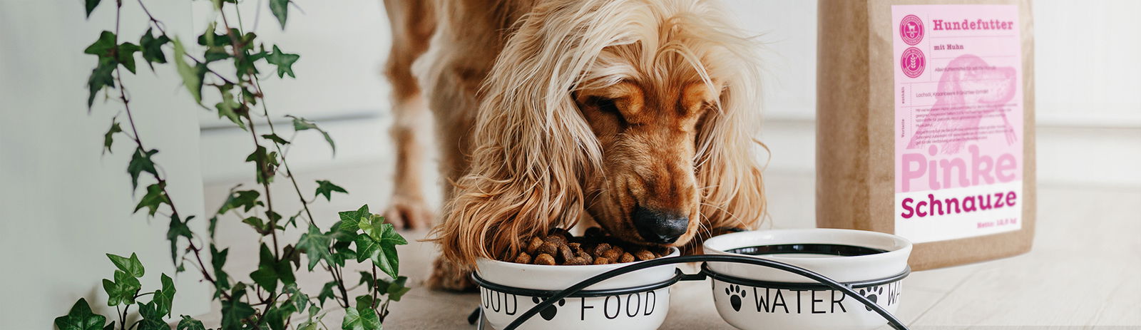 Cooker eating PS Dry food